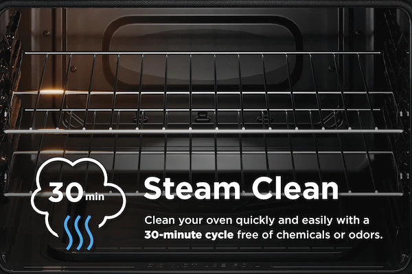 Frigidaire Gas Range