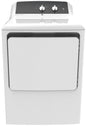 Electric Dryer